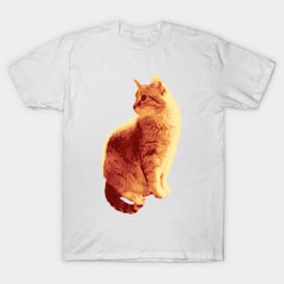 Orange Cat T-Shirt